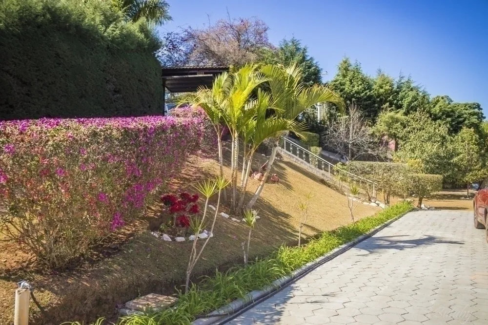 Chácara, 5 quartos, 5000 m² - Foto 5