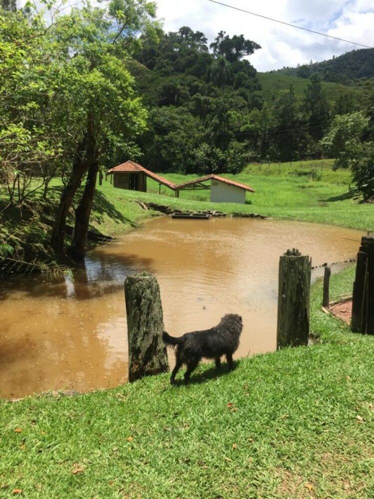 Sítio à venda com 5 quartos, 266200m² - Foto 2