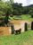 Sítio, 5 quartos, 27 hectares - Foto 2