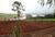 Chácara, 6 quartos, 3600 m² - Foto 4