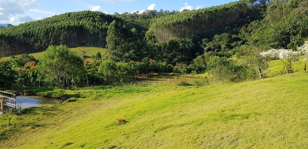Sítio, 3 quartos, 2 hectares - Foto 12