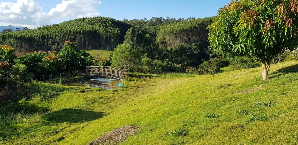 Sítio, 3 quartos, 2 hectares - Foto 3