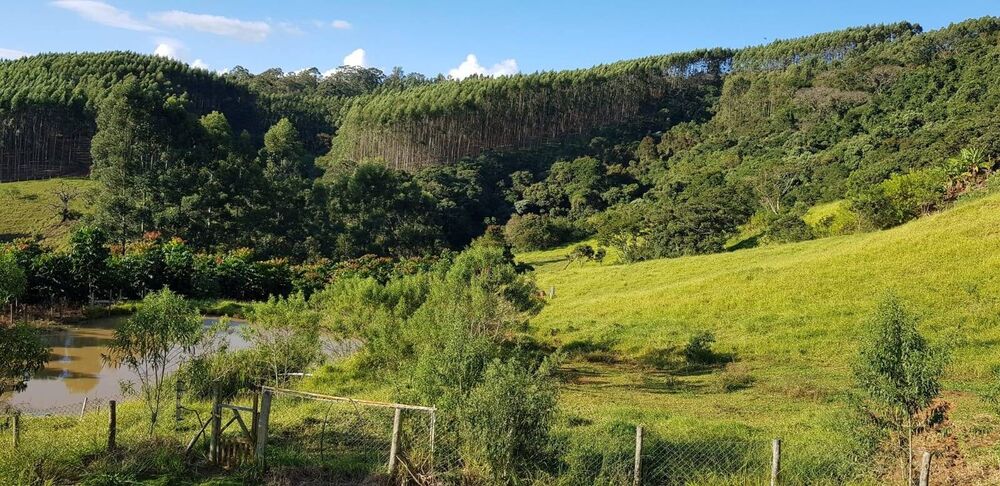 Sítio, 3 quartos, 2 hectares - Foto 4