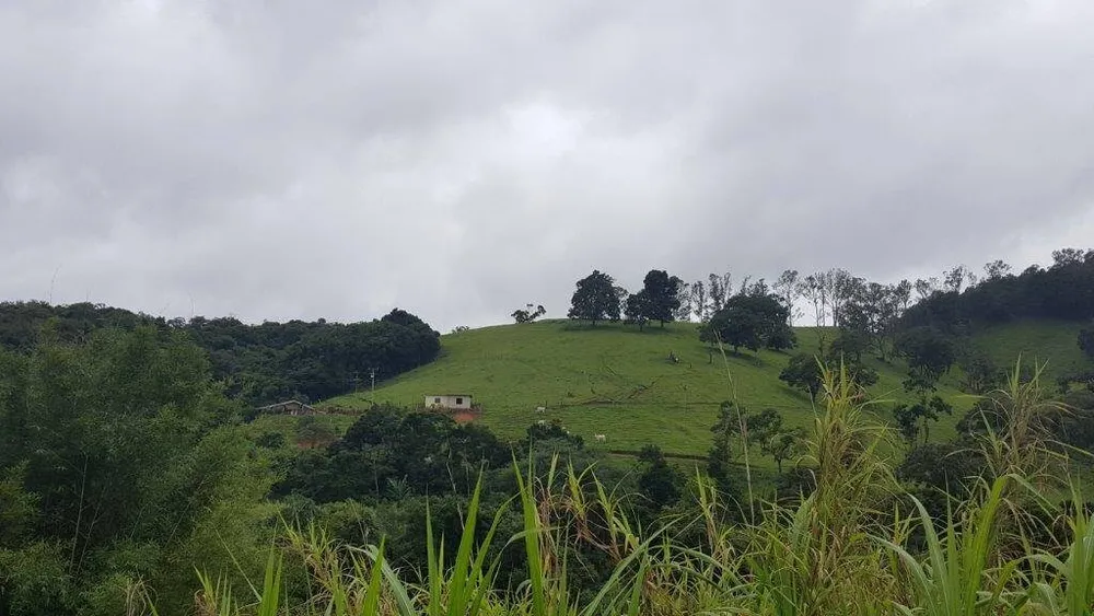 Sítio, 2 quartos, 10 hectares - Foto 3