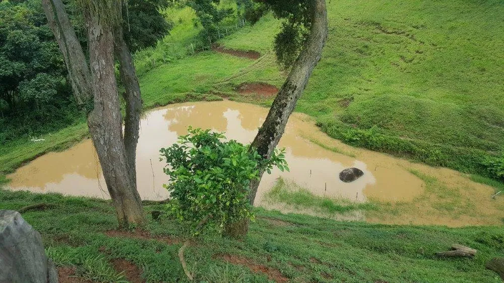 Sítio, 2 quartos, 10 hectares - Foto 10