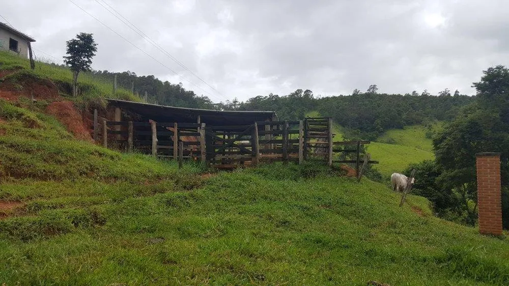 Sítio, 2 quartos, 10 hectares - Foto 7