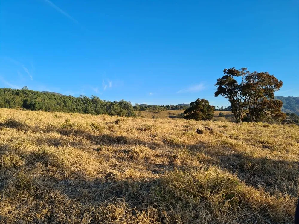 Sítio, 2 quartos, 10 hectares - Foto 11
