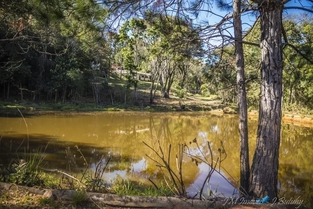 Sítio, 6 quartos, 8 hectares - Foto 4