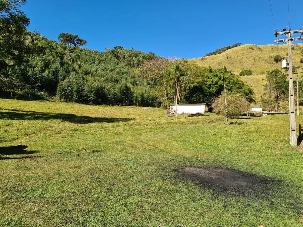 Sítio, 4 quartos, 53 hectares - Foto 4