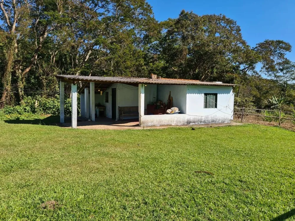Sítio, 4 quartos, 53 hectares - Foto 2