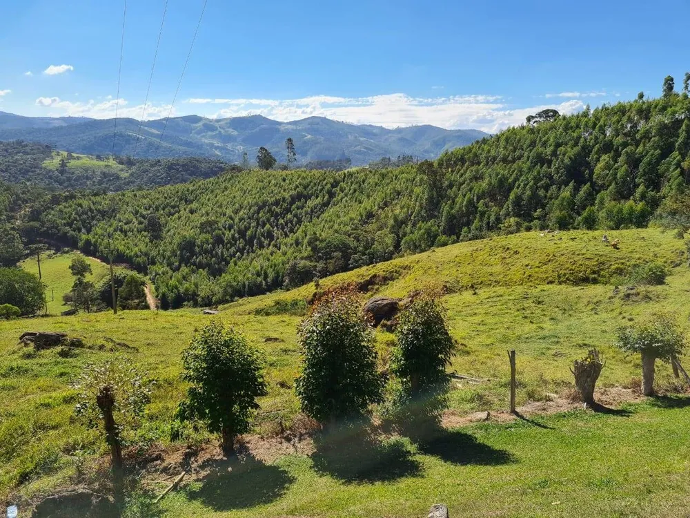 Sítio, 4 quartos, 53 hectares - Foto 17