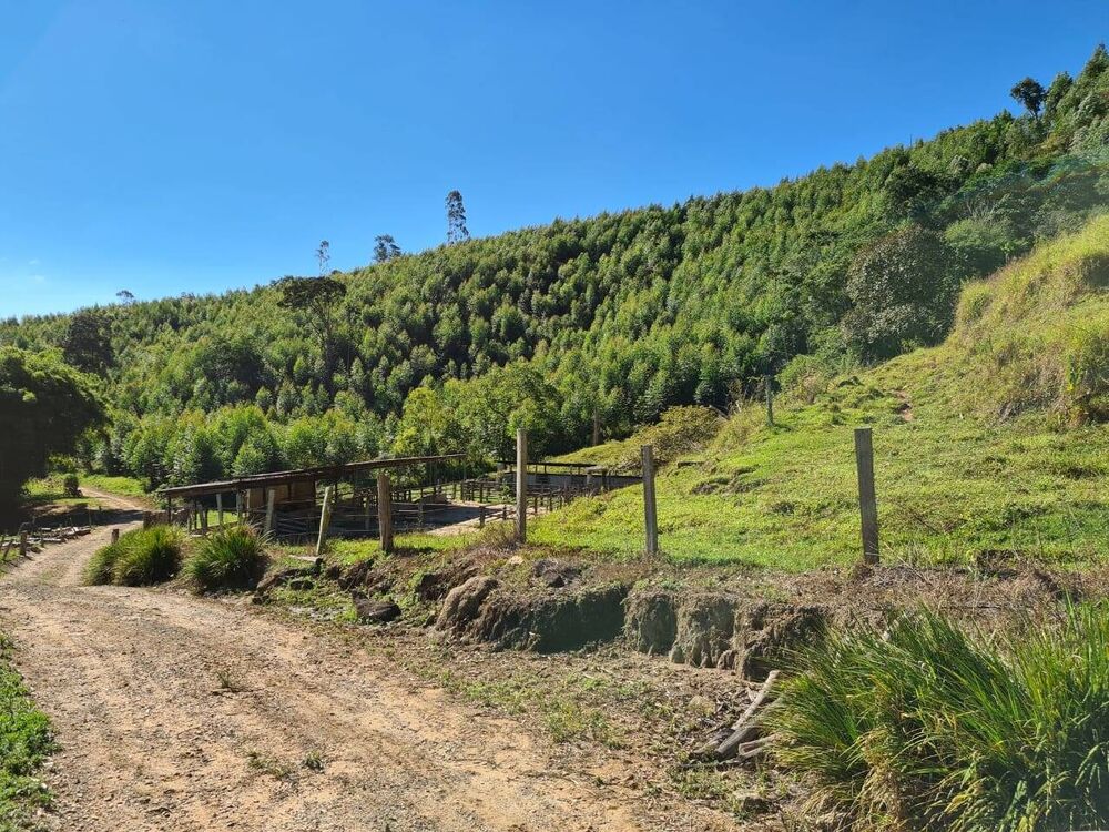 Sítio, 4 quartos, 53 hectares - Foto 1