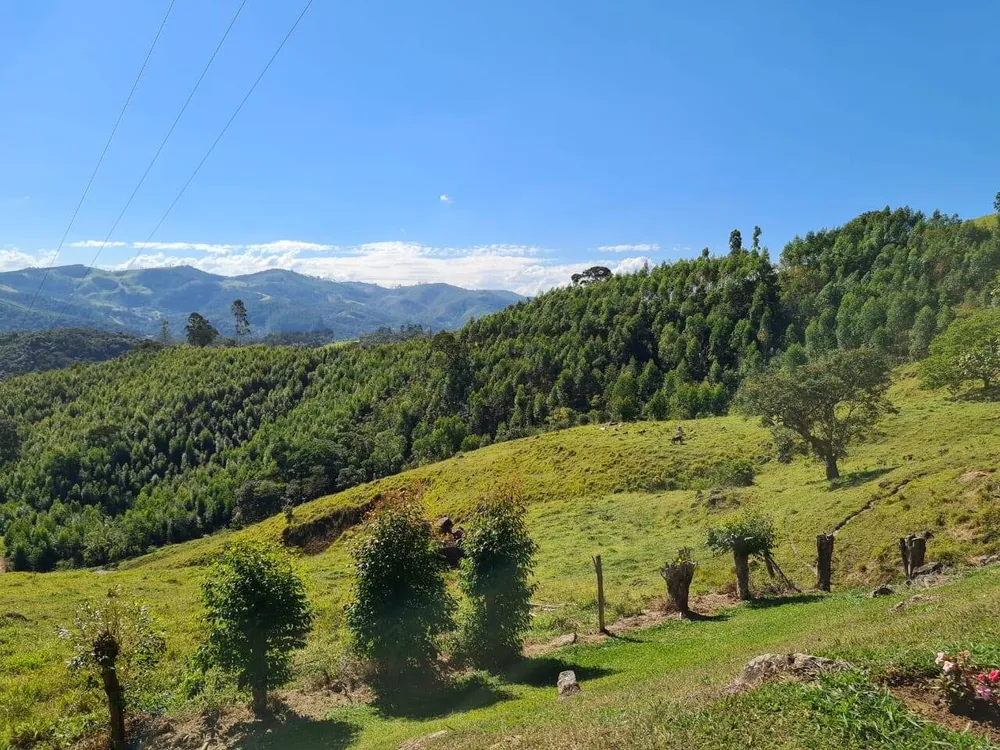 Sítio, 4 quartos, 53 hectares - Foto 16