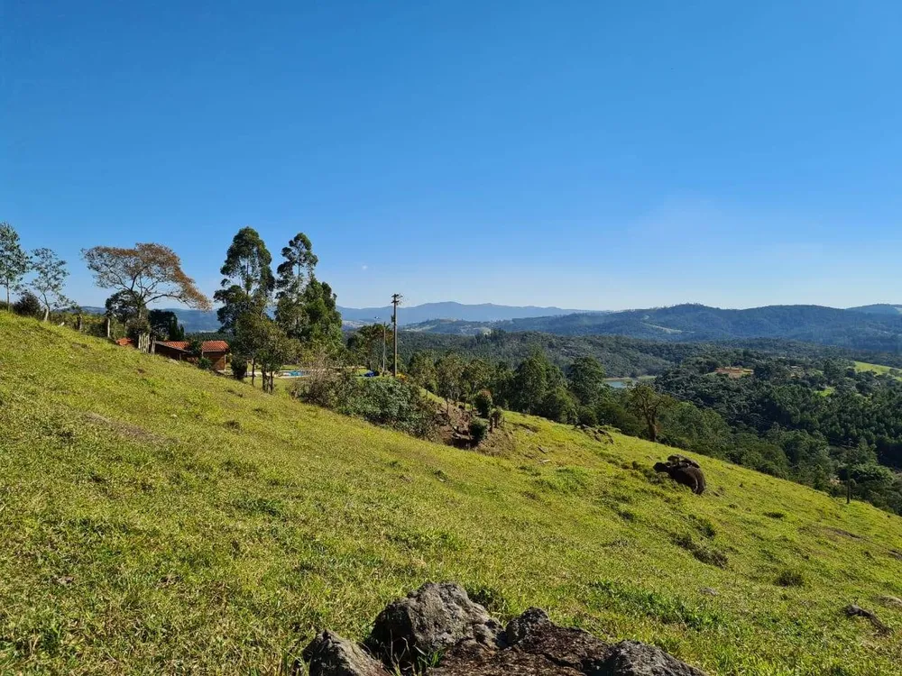 Sítio, 4 quartos, 53 hectares - Foto 12