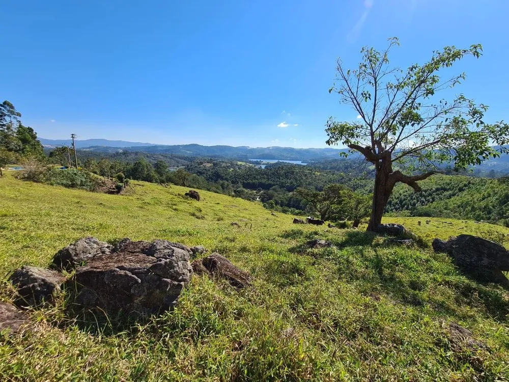 Sítio, 4 quartos, 53 hectares - Foto 13
