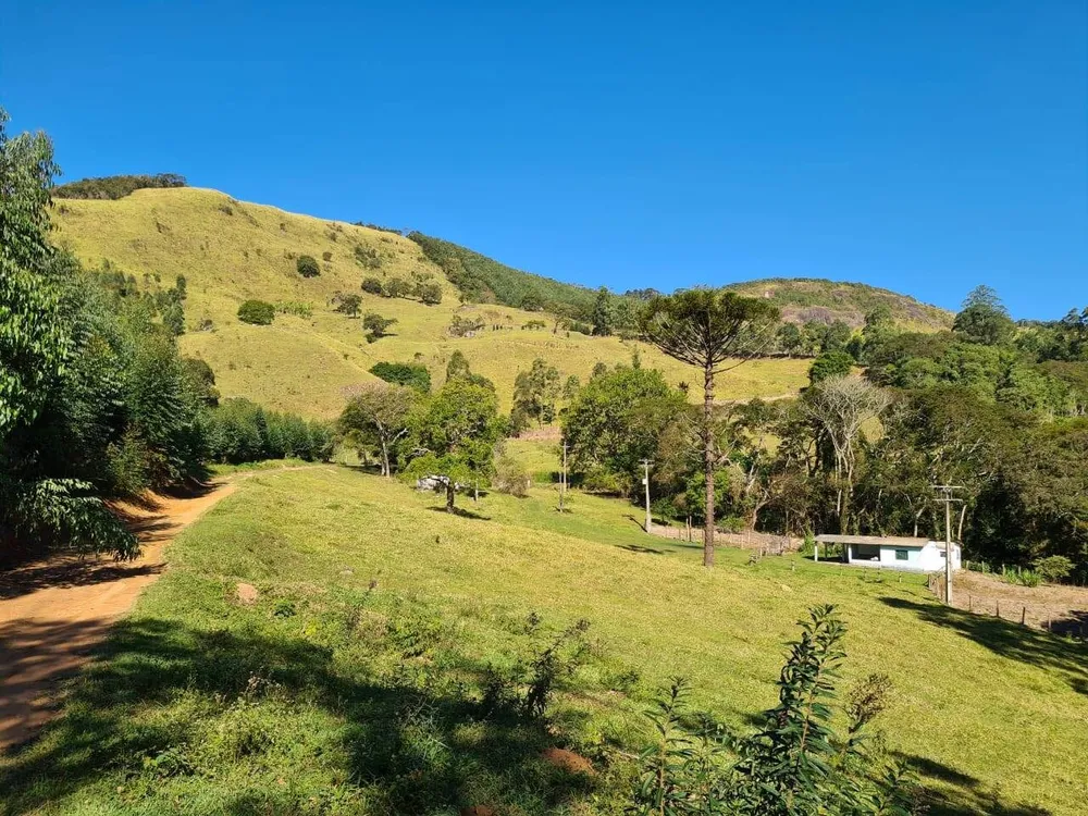 Sítio, 4 quartos, 53 hectares - Foto 1