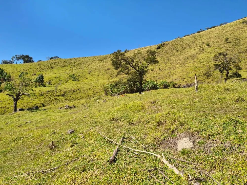 Sítio, 4 quartos, 53 hectares - Foto 14