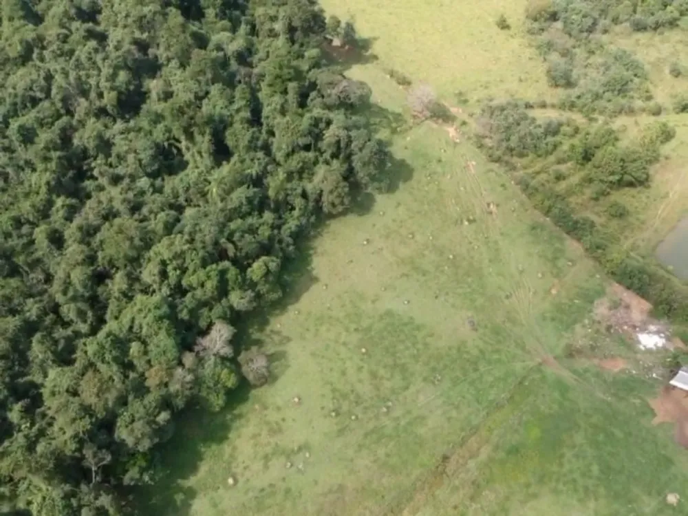 Terreno, 7 hectares - Foto 11