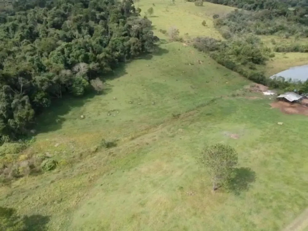 Terreno, 7 hectares - Foto 6