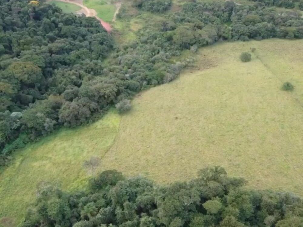 Terreno, 7 hectares - Foto 4