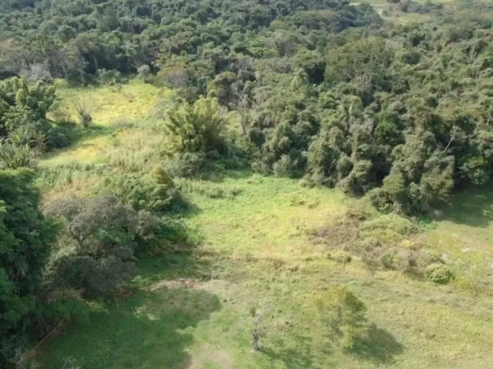 Terreno, 7 hectares - Foto 13