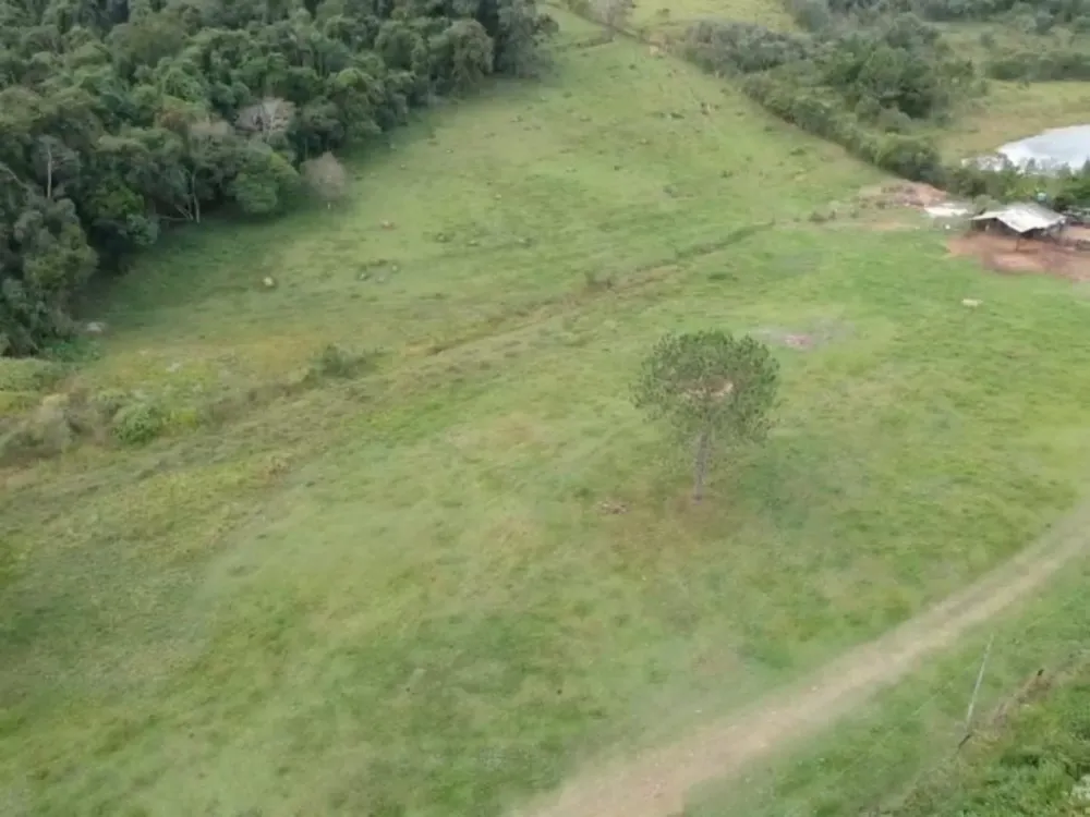 Terreno, 7 hectares - Foto 12