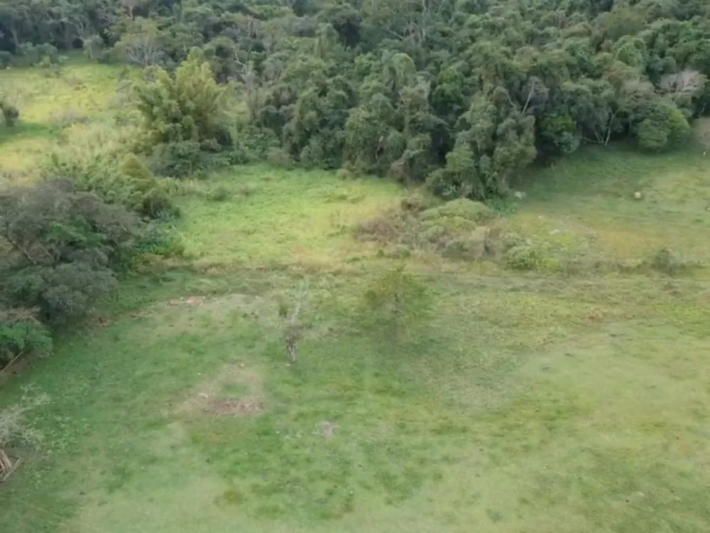 Terreno, 7 hectares - Foto 7