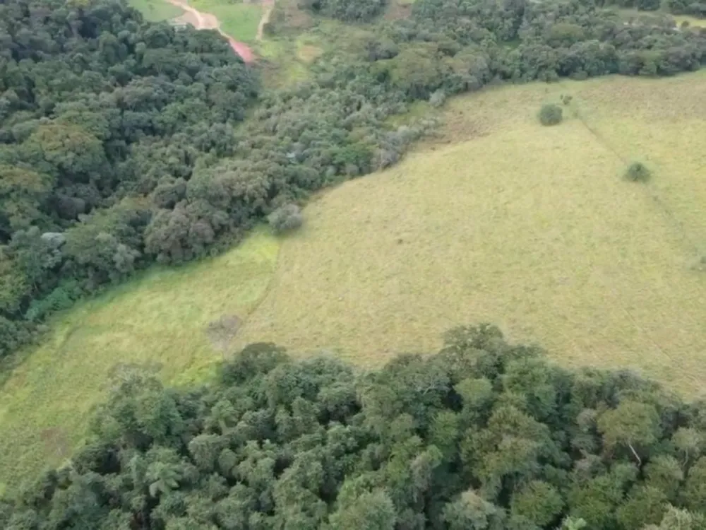 Terreno, 7 hectares - Foto 8