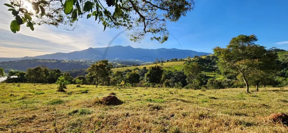 Terreno, 6 hectares - Foto 4