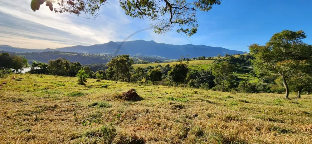 Terreno, 6 hectares - Foto 10