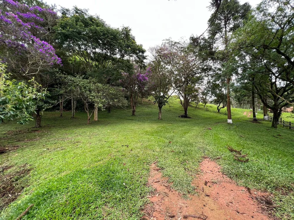 Sítio, 6 quartos, 15 hectares - Foto 12