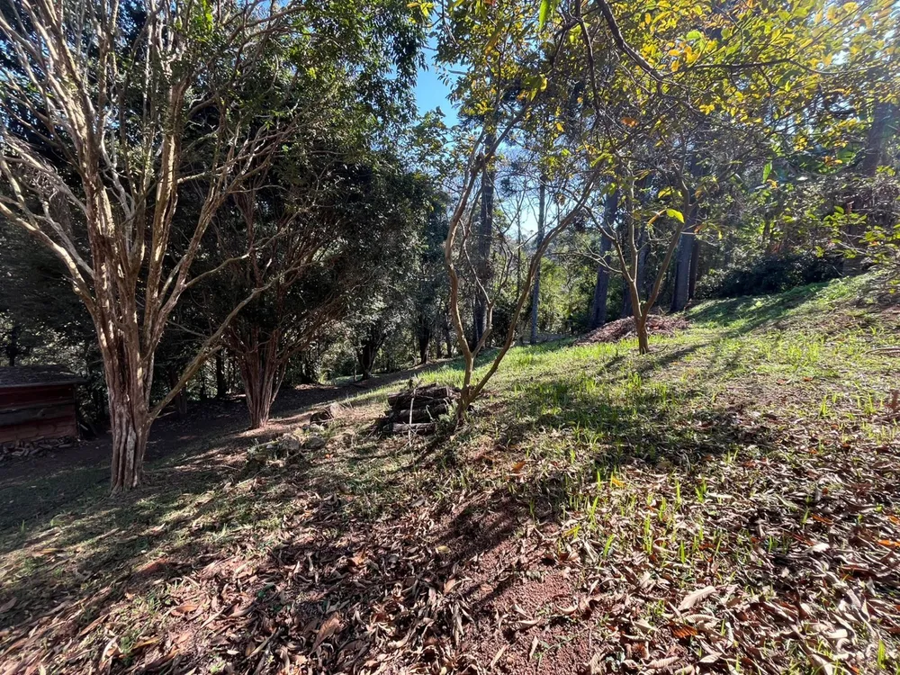 Chácara, 3 quartos, 4800 m² - Foto 20