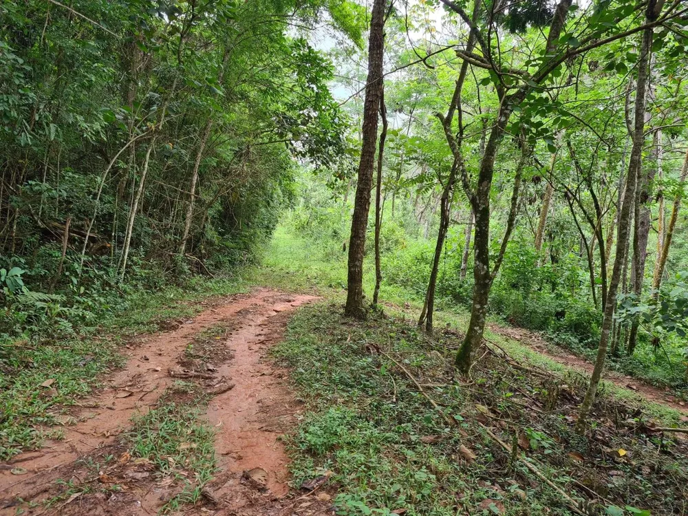 Sítio, 5 quartos, 39 hectares - Foto 14