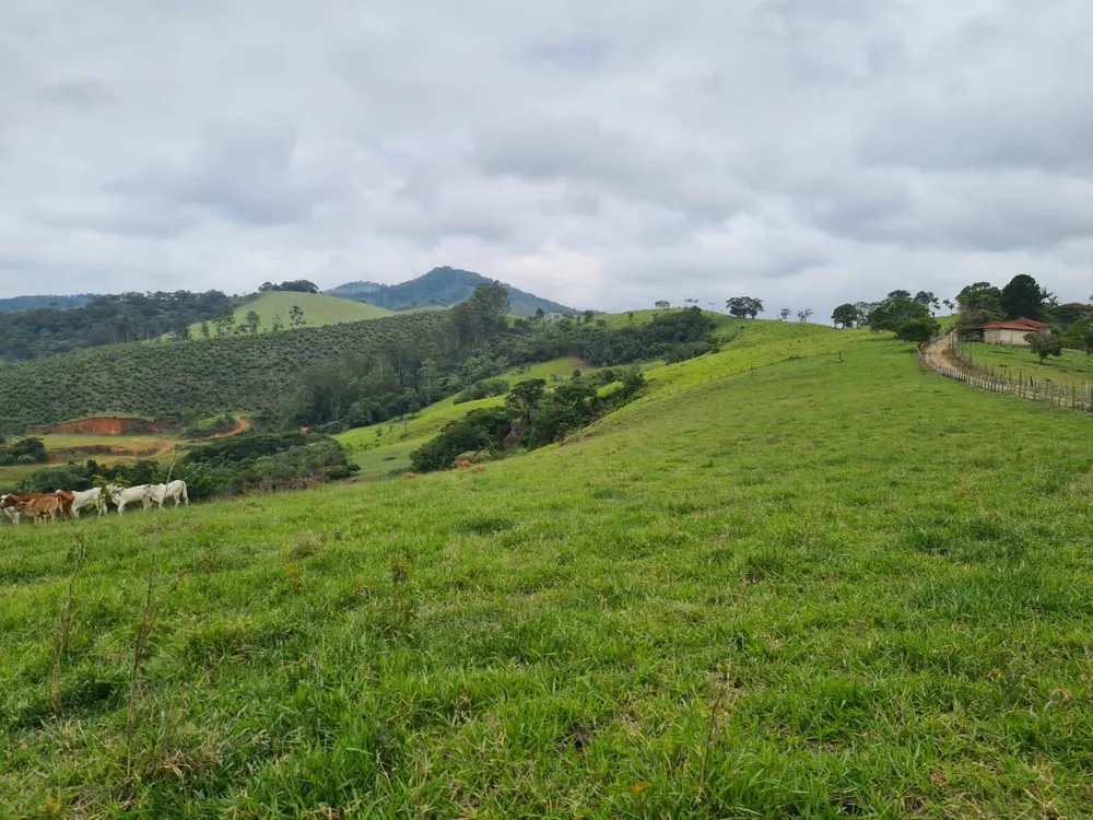 Sítio, 5 quartos, 39 hectares - Foto 3