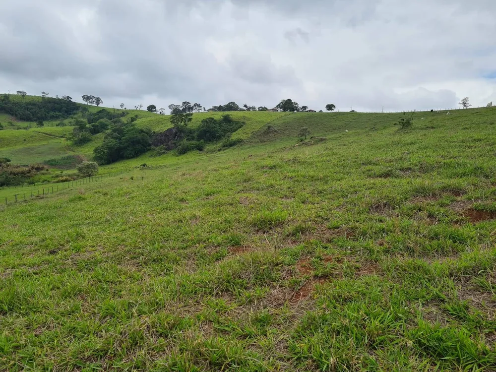 Sítio, 5 quartos, 39 hectares - Foto 15