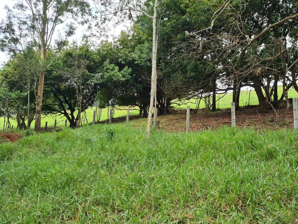 Sítio, 5 quartos, 39 hectares - Foto 6