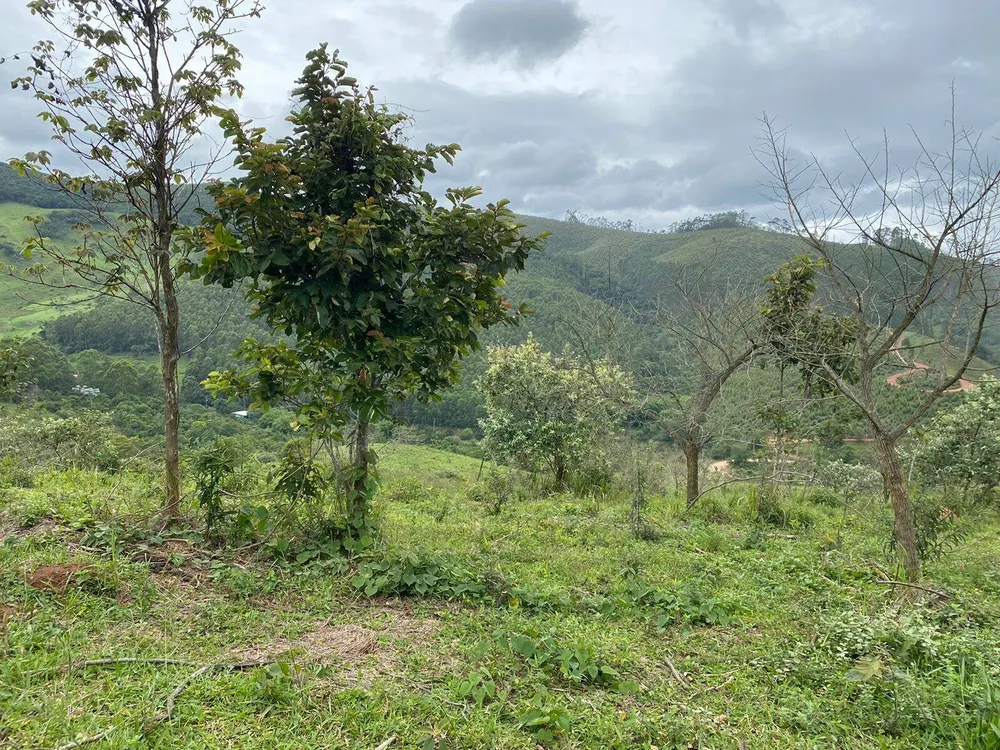 Sítio, 1 quarto, 19 hectares - Foto 15