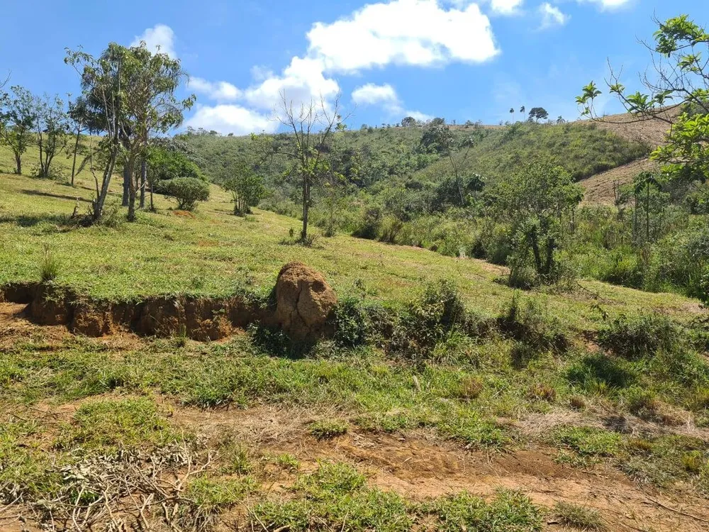Sítio, 1 quarto, 19 hectares - Foto 7