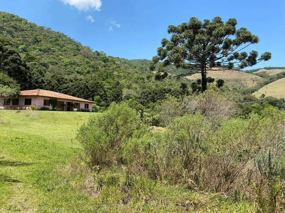 Sítio, 4 quartos, 70 hectares - Foto 6