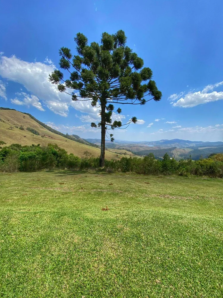 Sítio, 4 quartos, 70 hectares - Foto 7