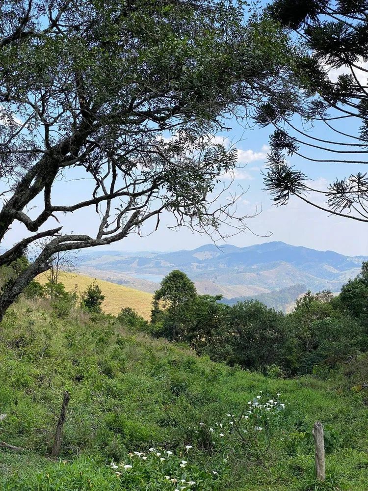 Sítio, 4 quartos, 70 hectares - Foto 11