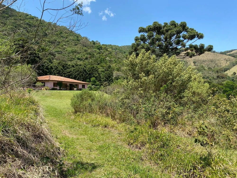 Sítio, 4 quartos, 70 hectares - Foto 13