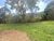 Sítio, 4 quartos, 70 hectares - Foto 1