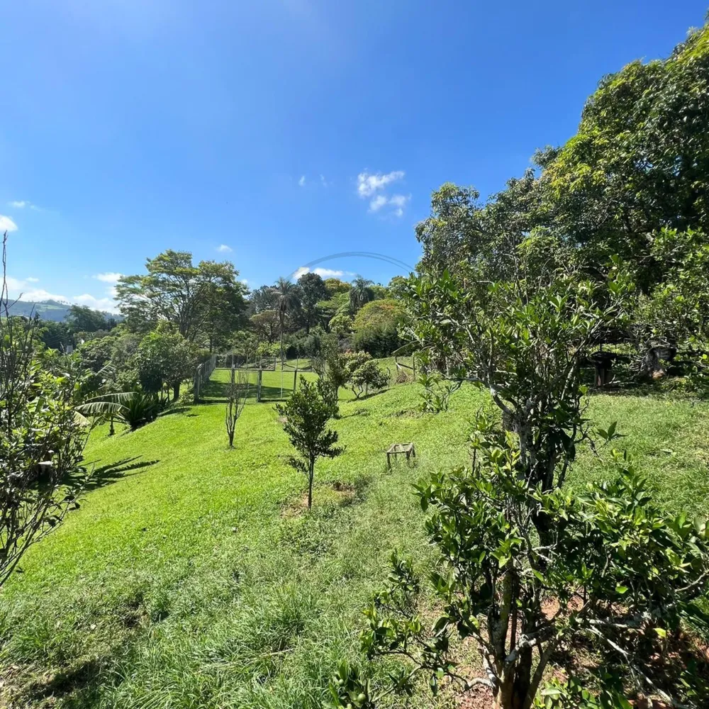 Chácara, 4 quartos, 5290 m² - Foto 16