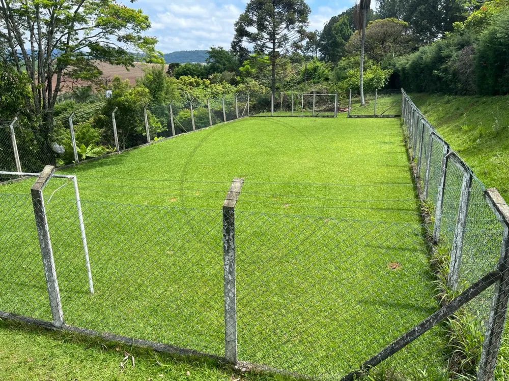 Chácara, 4 quartos, 5290 m² - Foto 3
