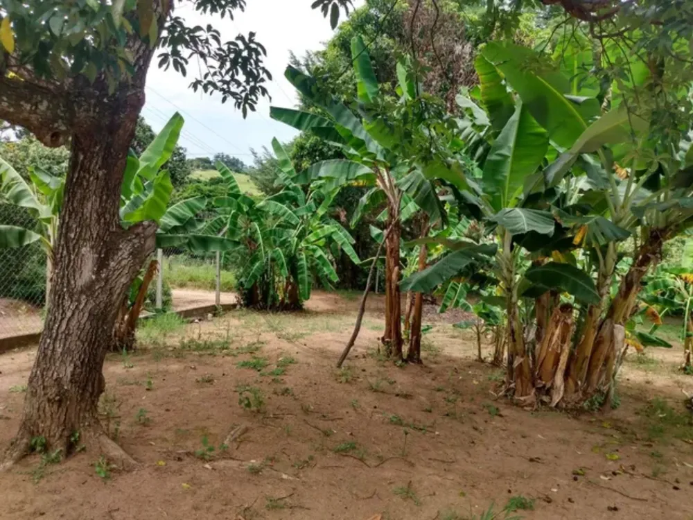 Chácara, 3 quartos, 3000 m² - Foto 13