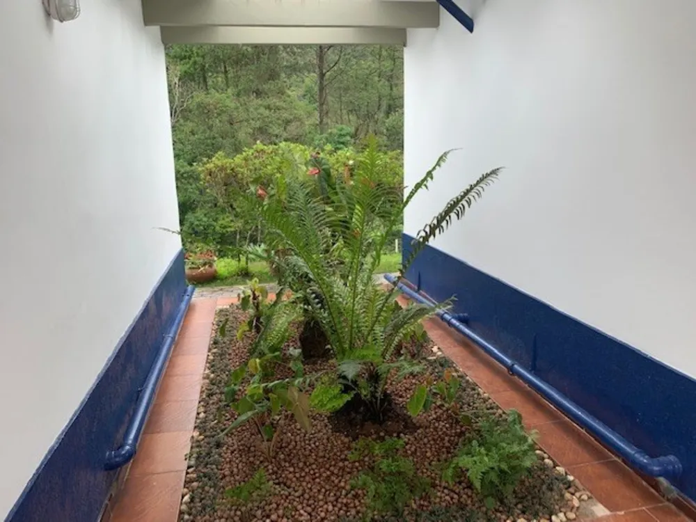 Chácara, 3 quartos, 7400 m² - Foto 8