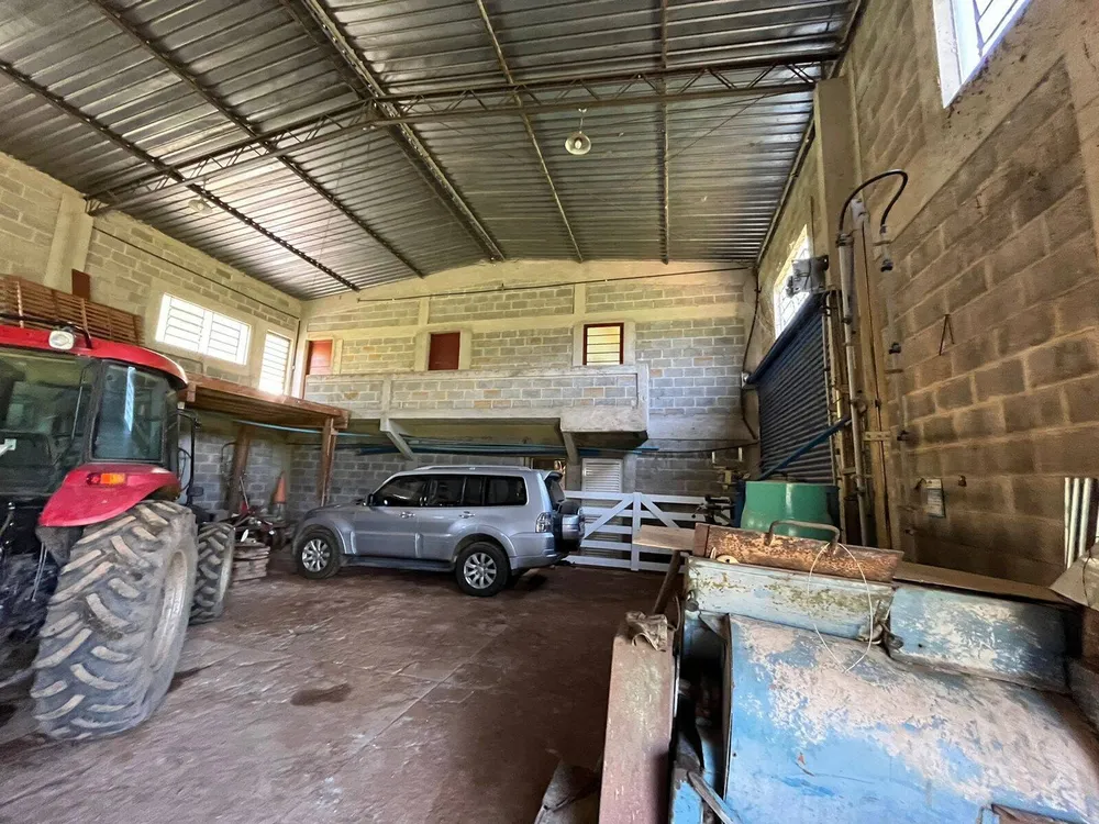Fazenda, 196 hectares - Foto 10