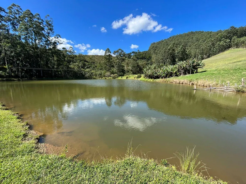 Fazenda, 196 hectares - Foto 6