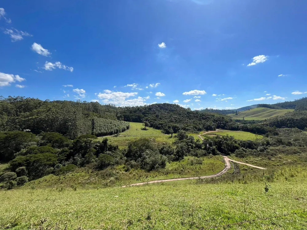 Fazenda, 196 hectares - Foto 12
